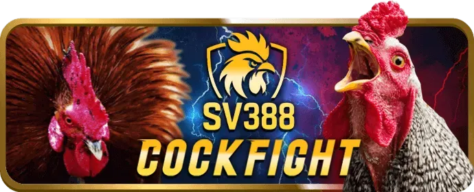 Ưu đãi chào mừng thành viên mới tại me88 nhà cái